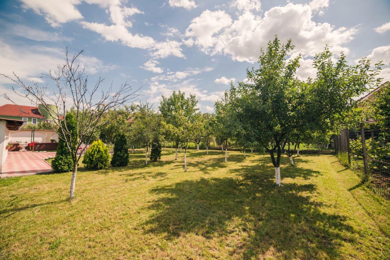 G.Eag - Premium Apartment Oradea Exteriör bild